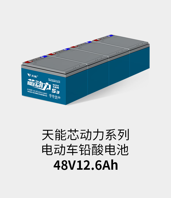 MG不朽情缘官网电池48v12ah