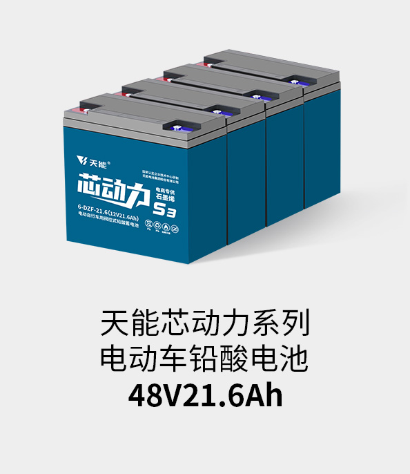 MG不朽情缘官网电池48v20ah