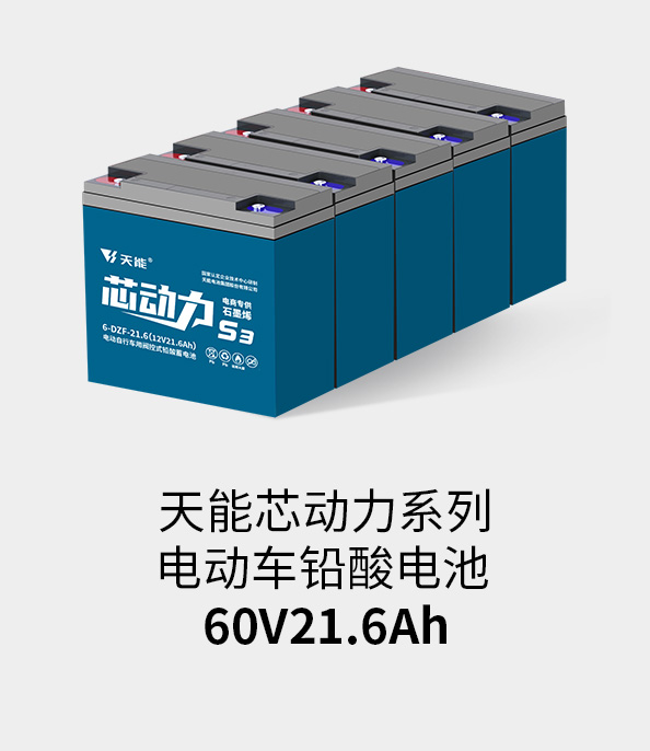 MG不朽情缘官网电池60v20ah