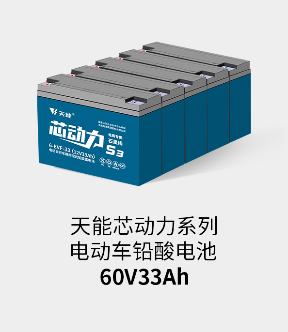 MG不朽情缘官网电池60v33ah