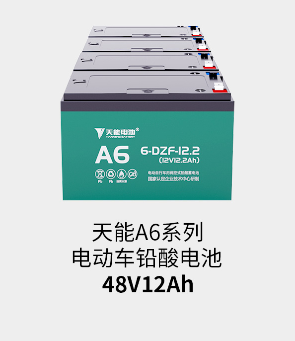 MG不朽情缘官网电池48v12ah