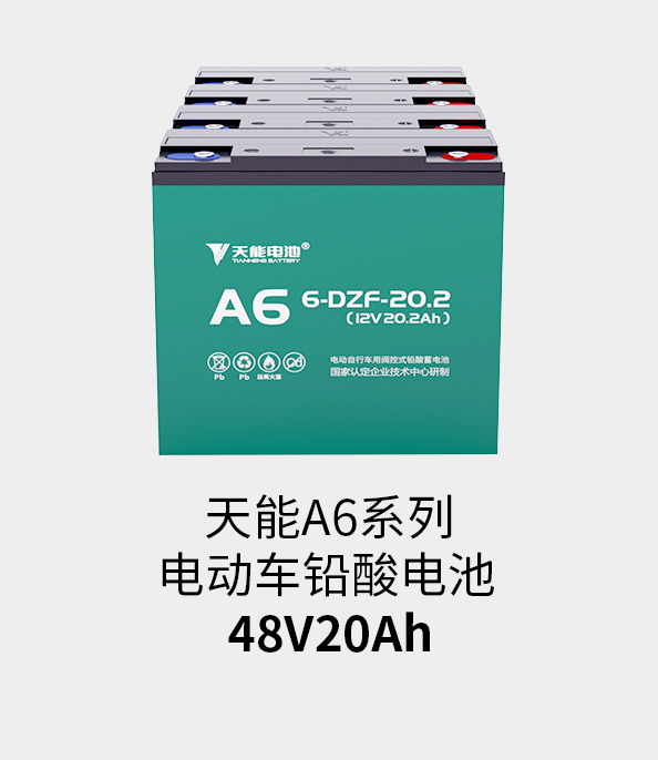 MG不朽情缘官网电池48v20ah