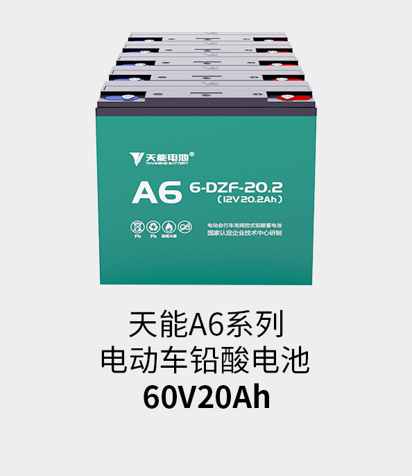 MG不朽情缘官网电池60v20ah