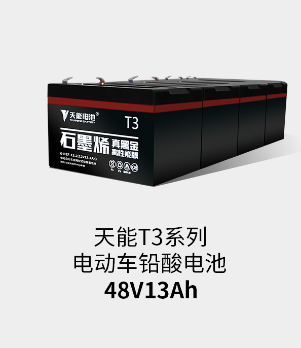 MG不朽情缘官网T3系列48v13ah