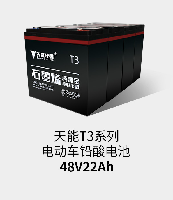MG不朽情缘官网T3系列48v22ah