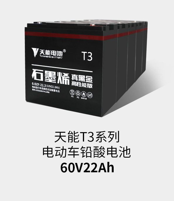 MG不朽情缘官网T3系列60v22ah