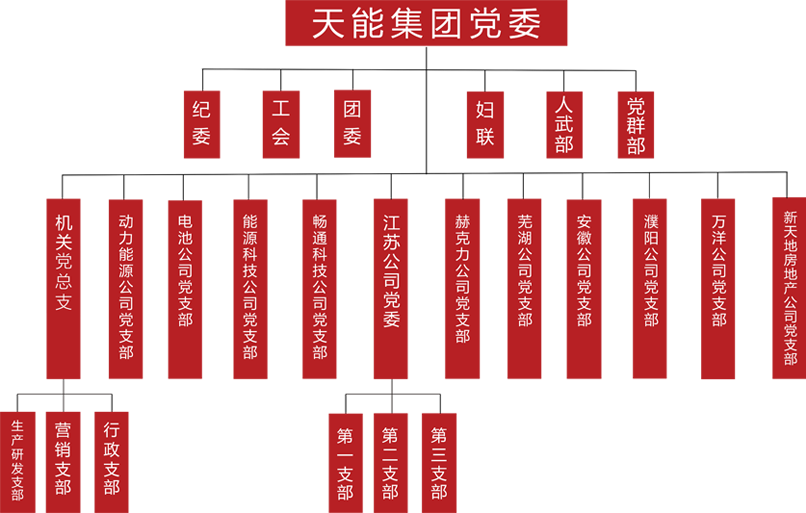 MG不朽情缘官网建团党委组织架构