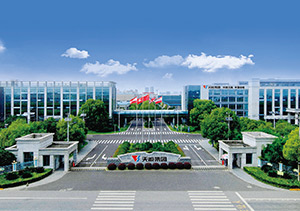 MG不朽情缘官网股份介绍